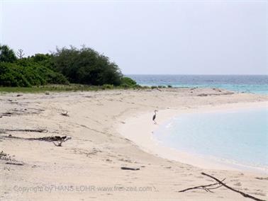 2004 Meedhupparu Malediven,_DSC03750 B_478